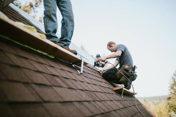 Best Chimney Flashing Repair  in Margate, FL